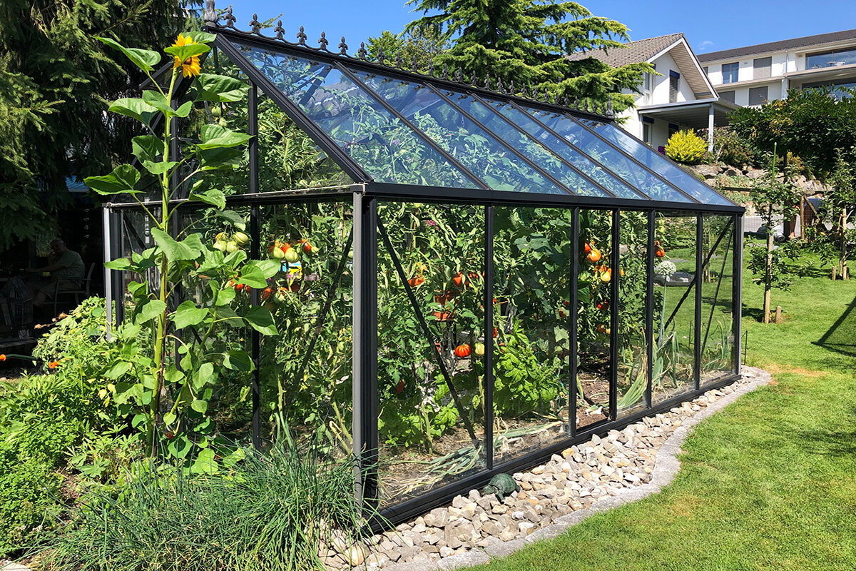 Wie man ein Gewächshaus-Layout für eine Schöne und Komfortable Gartenarbeit Plant