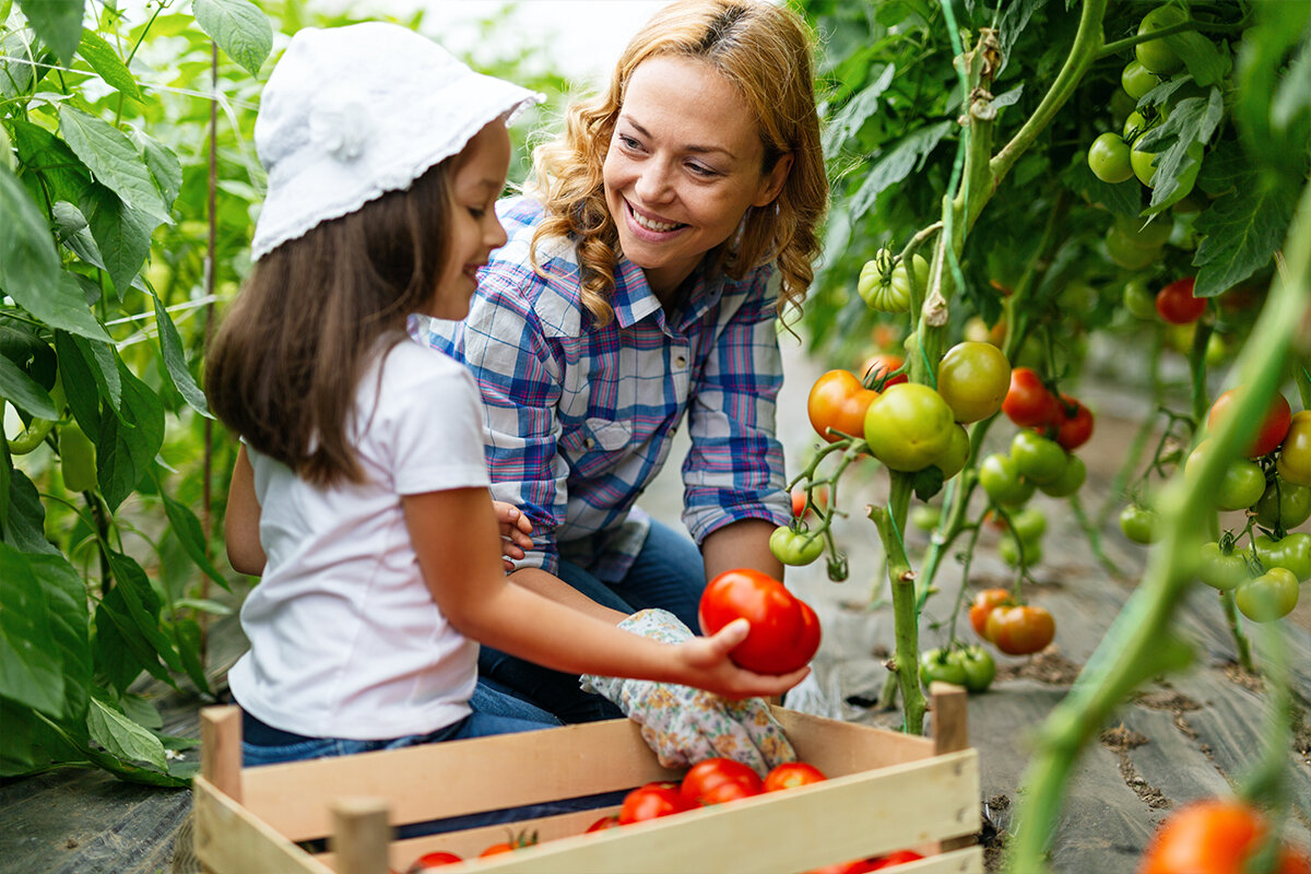 Jardinage pour le Bien-être : Un Guide Complet