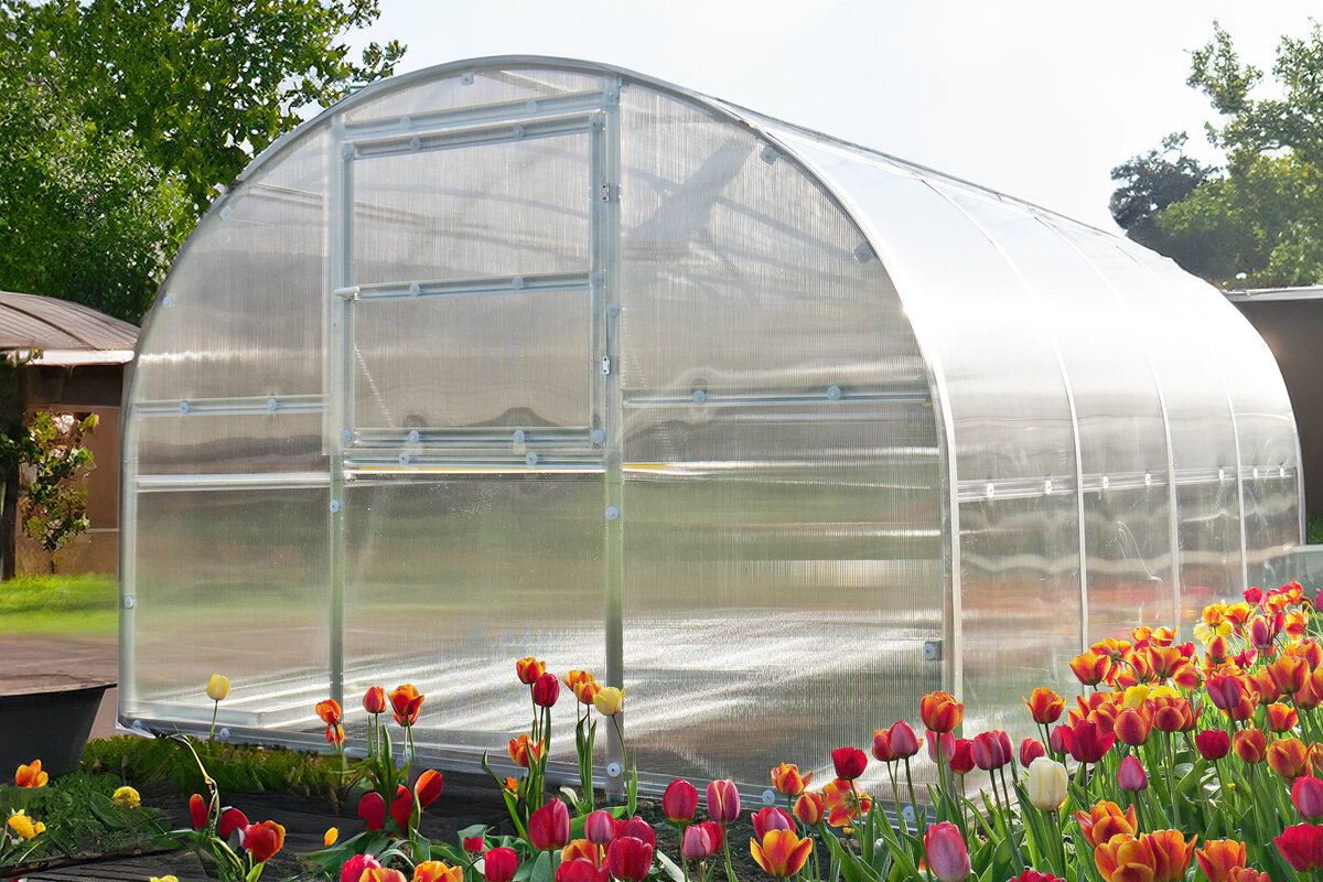 Tunnel Greenhouses: A Comprehensive Guide