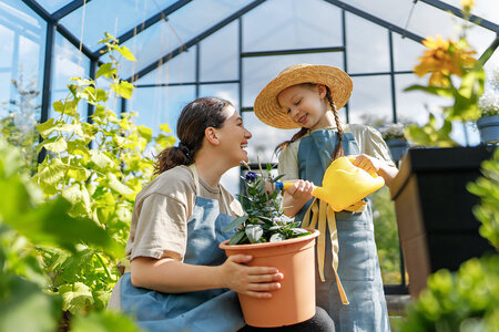 2025 is The Year to Invest in Your Well-Being with an Aluminum Glass Greenhouse