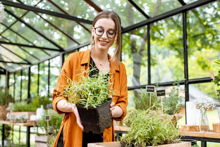 Top 10 Vegetables and Fruits to Grow in a Greenhouse