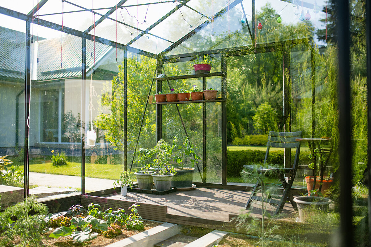 How to Prepare Your New Aluminium Greenhouse from Bloomcabin for Spring & What to Plant First