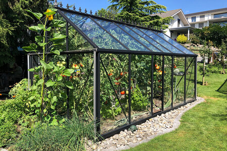 How to Plan a Greenhouse Layout for a Beautiful and Comfortable Gardening Experience