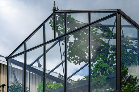 Glazing Options for Aluminum Greenhouses