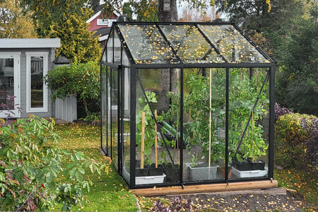 Why Bloomcabin Aluminium Greenhouses Are the Best Choice