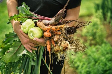 The Benefits of Organic Farming for Health and the Environment