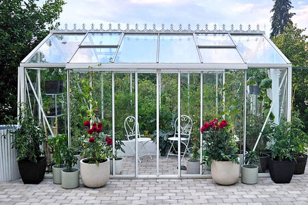 Greenhouse Gardening for Beginners | BloomCabin Guide